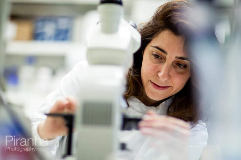 Photograph of Scientist Working in Laboratory in London