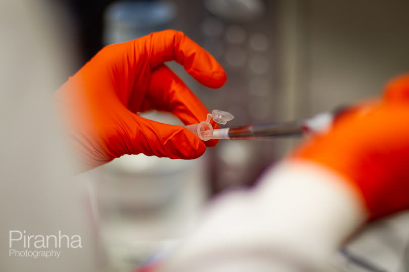 Pipette photograph of medial research and gloves