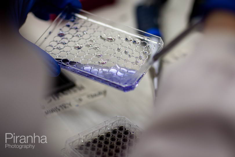 Photography of medial research in hospital