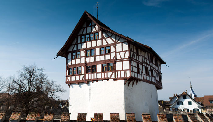 exterior_photograph_switzerland Photograph of House next to Lake at Zug, Switzerland