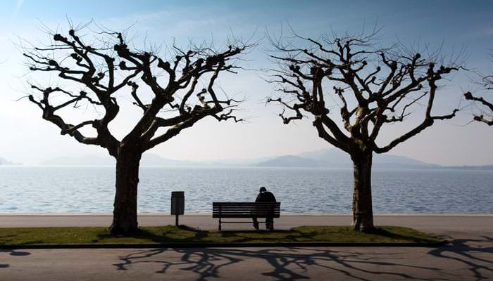 exterior_view_photograph Photograph of Trees next to Lake at Zug, Switzerland