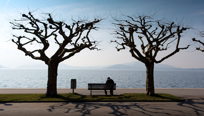 Photograph of Trees next to Lake at Zug, Switzerland