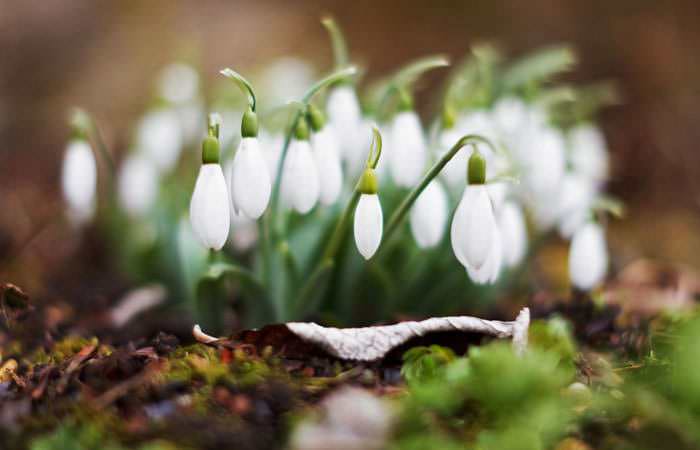 Spring Photograph News