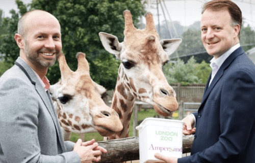 PR Photograph of directors feeding giraffes at London Zoo