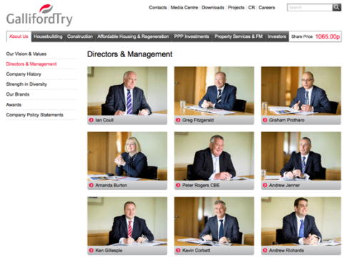 Board of directors individual photographs on website