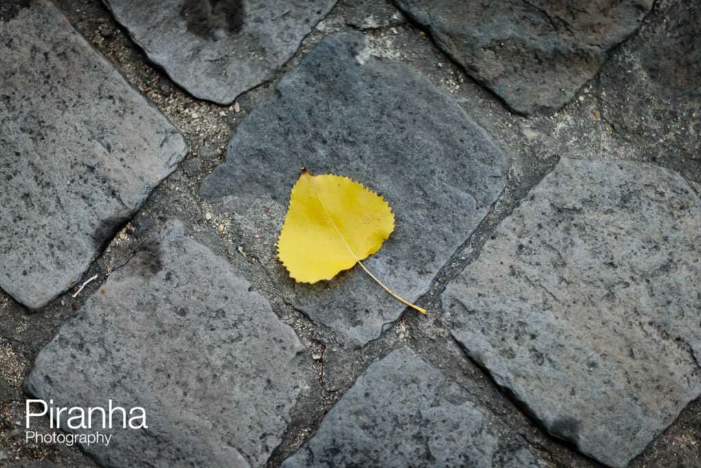 Location branding photography for private equity company