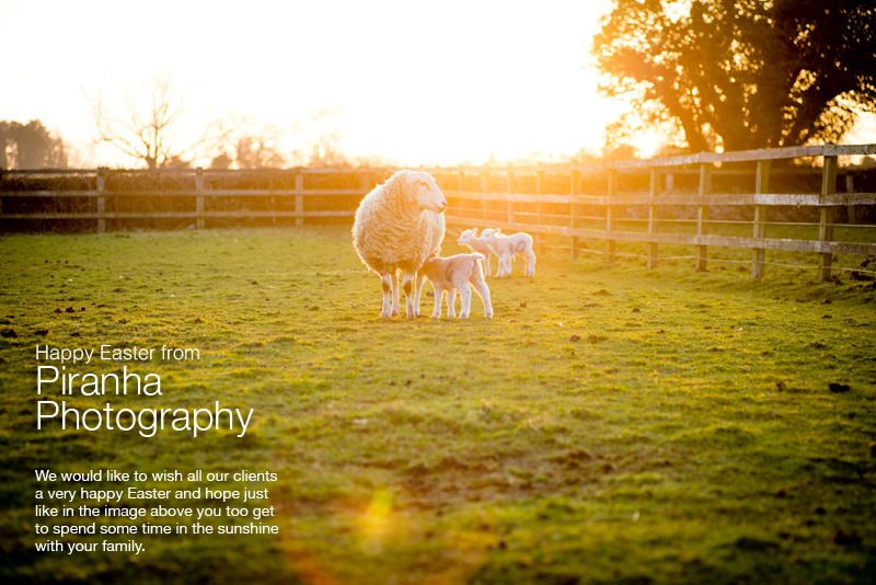 Happy Easter from Piranha Photography