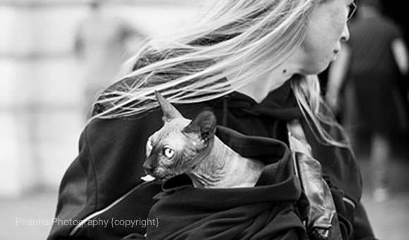 Street Photography and New Leica M240 1 L1003432bwcrop1