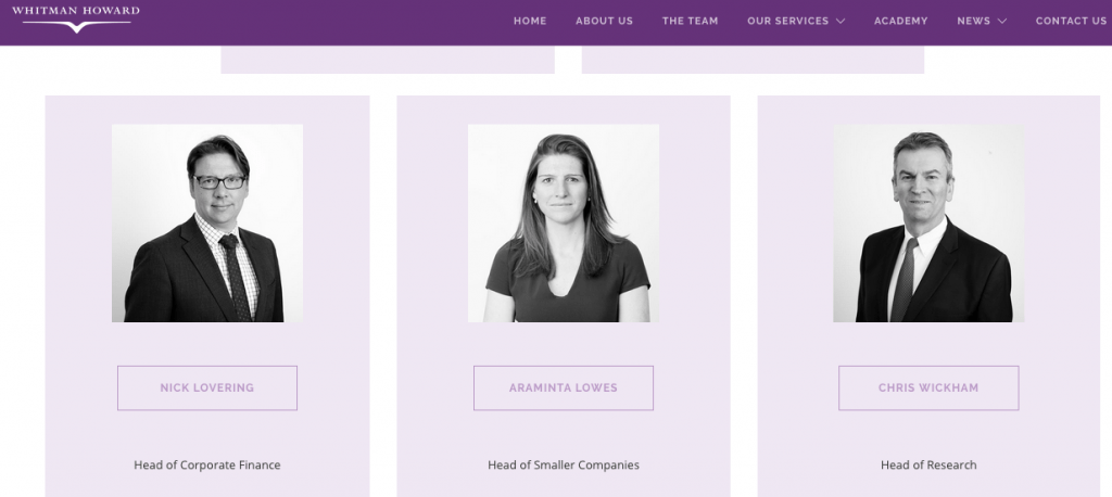 Headshot Photography for Stockbroking and Investment Banking Business 1 Screen grab showing headshots used in black and white by Piranha in situ on the page