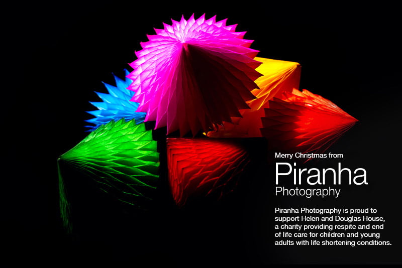 Merry Christmas and Happy New Year for 2019 7 Christmas card from Piranha