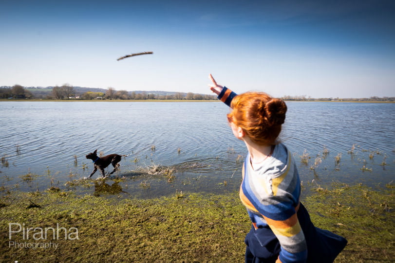 Dog walking during lockdown on port meadow