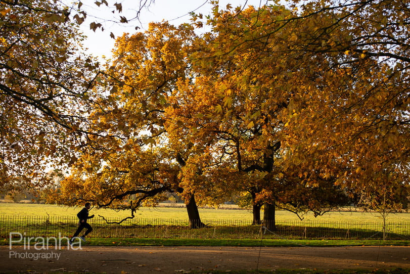 Photograph of runner in park