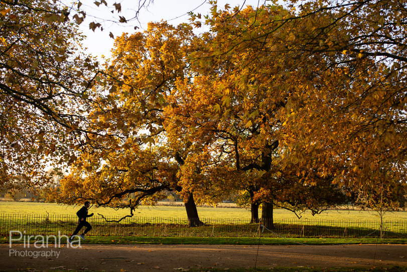 Article in The Drawdown by Piranha - Private equity has an opportunity to change its image post-pandemic 2 Photograph of runner in park