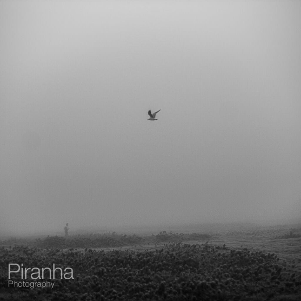 Photograph of Port Meadow in Oxford with seagul and runner during lockdown