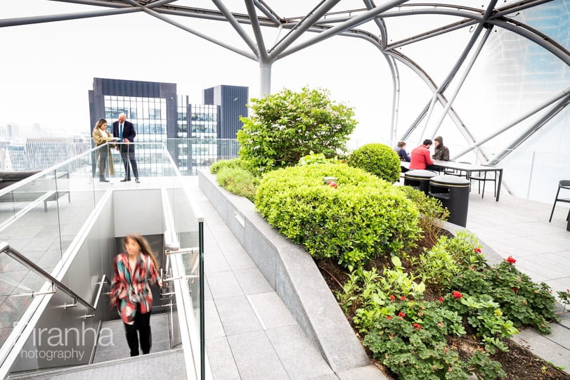 Photography for real estate investor or London office buildings - green plants on roof terrace