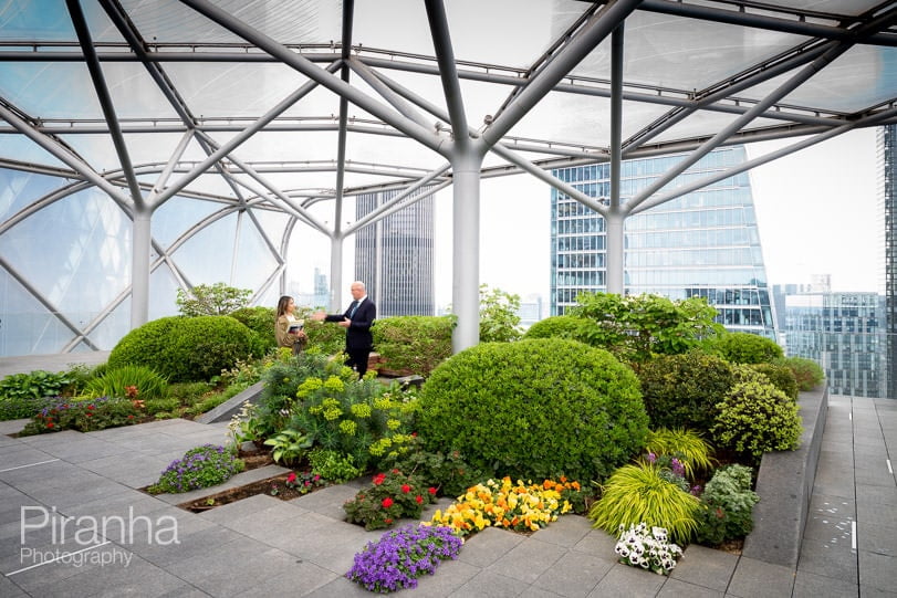 London office buildings photography - roof terrace with green plants