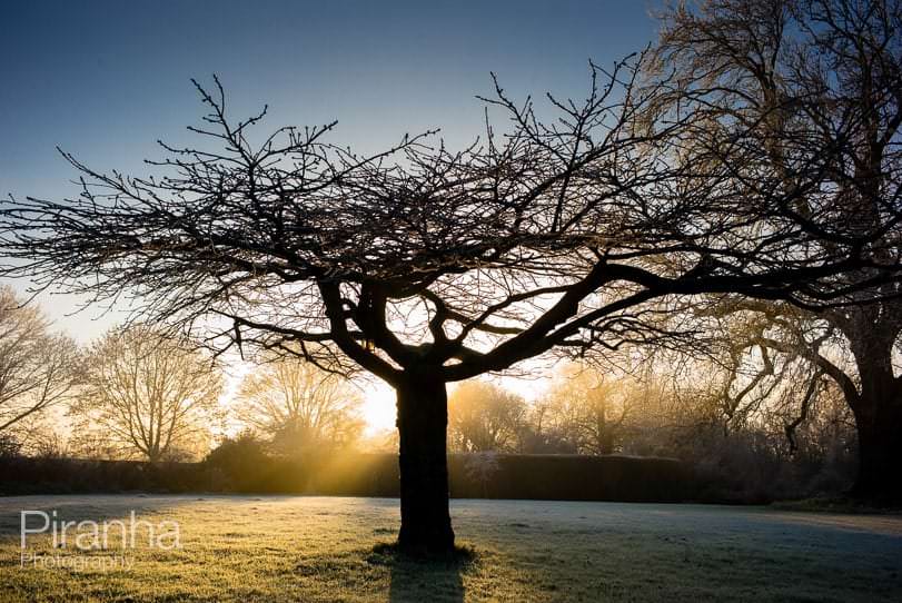 7 Tips for Creative Christmas Photography 3 corporate photographer London xmas 27217 min