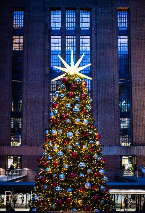 Photograph of Christmas tree in front of Battersea Power Station in London