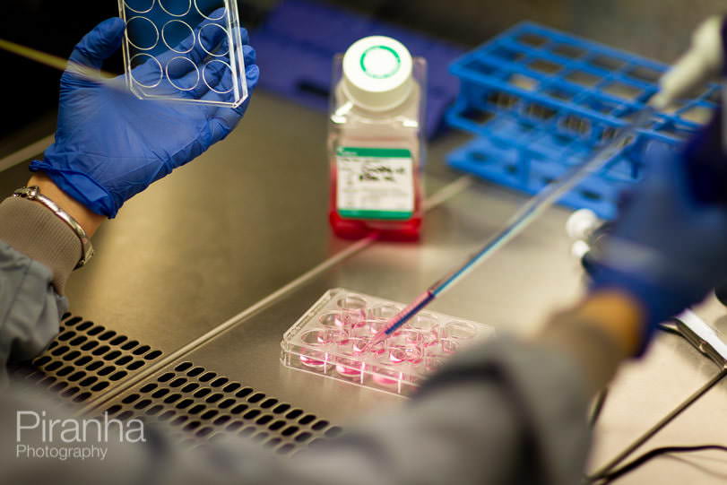 Medical research photography in hospital
