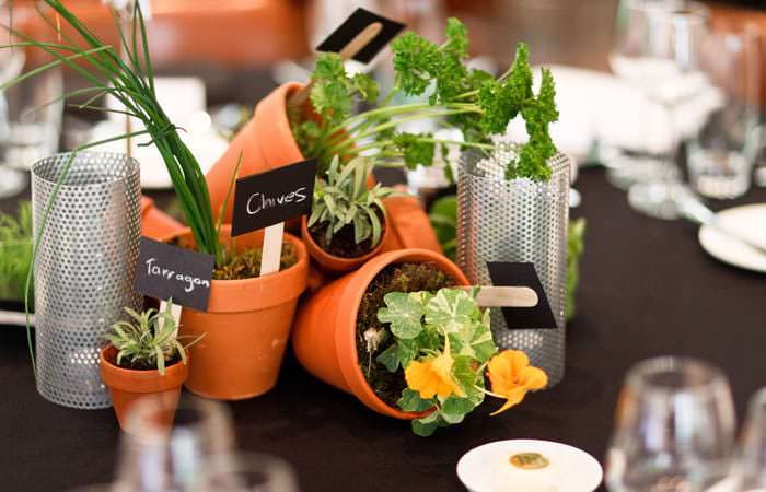 Food Photography for Caterers at RIBA Event