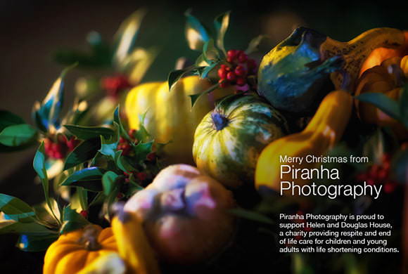 Christmas Piranha Photography