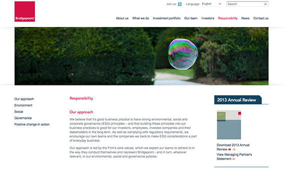 Client financial services website