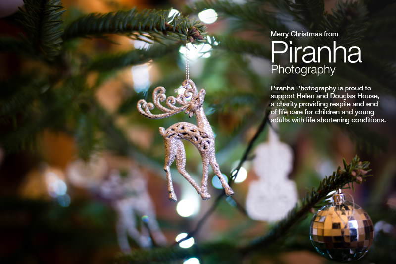 Christmas ecard Piranha 2016 - picture of reindeer ornament hanging on tree.