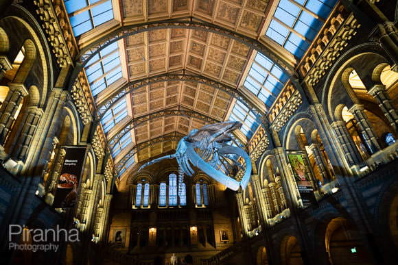 event photography at The Natural Histiry Museum