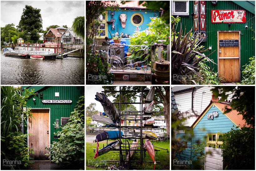 eel island montage