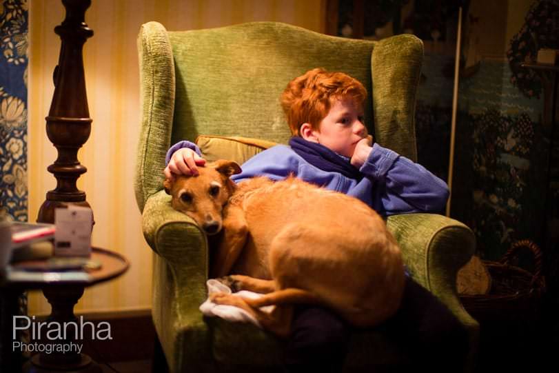 Boy and dog photographed at Christmas sitting together